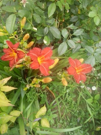 20160628_130444