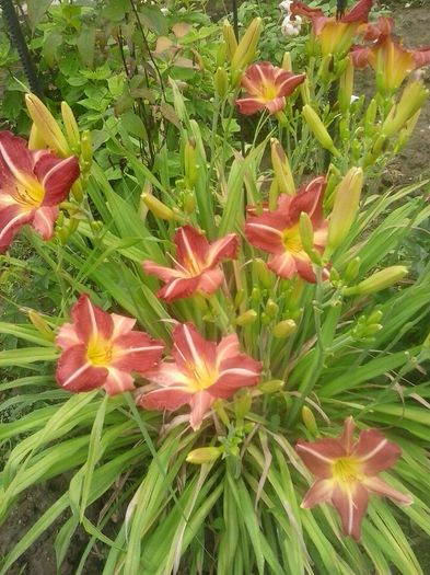 20160628_130502