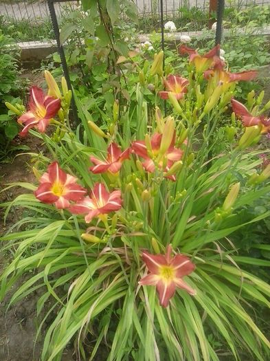 20160628_130507
