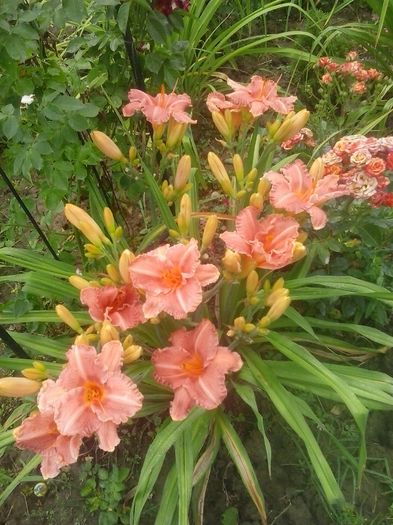 20160628_130514