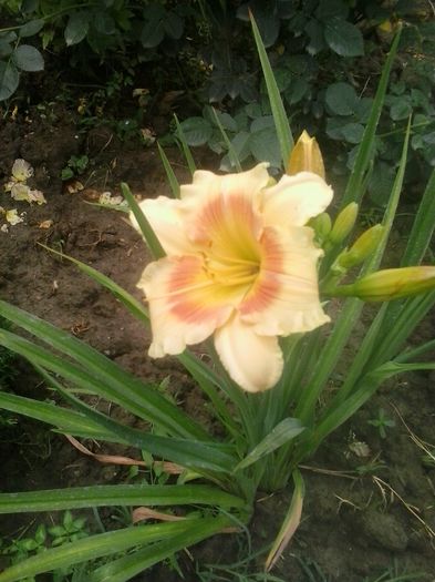 20160628_130619