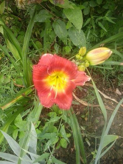 20160628_130713