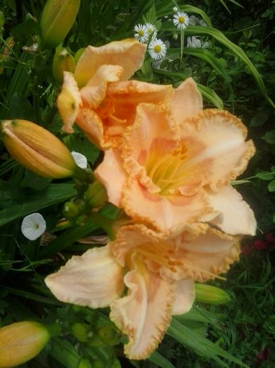 20160628_130957