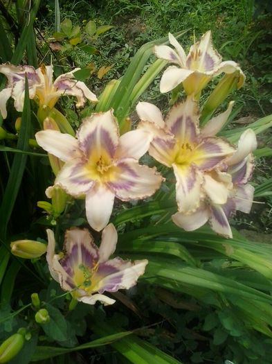 20160628_131149