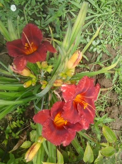 20160628_131212
