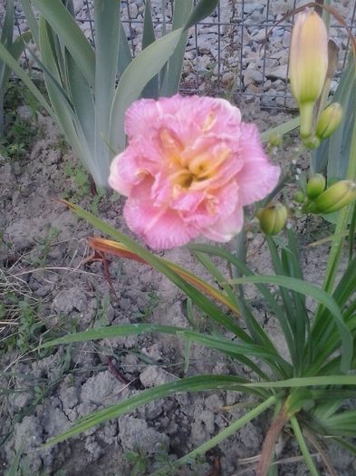 20160705_192035