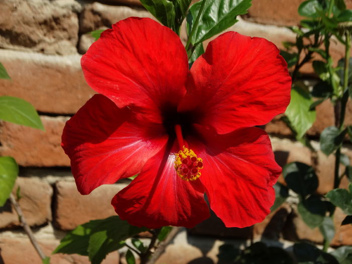 DSC08678