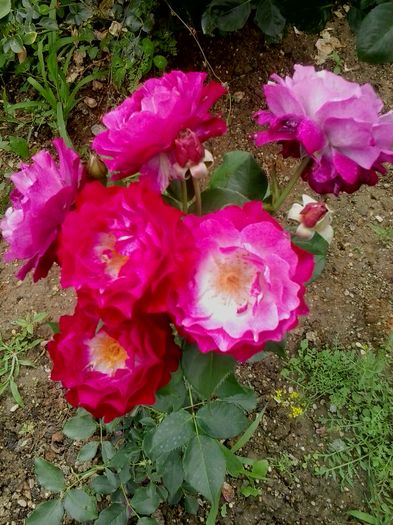 20160615_151507