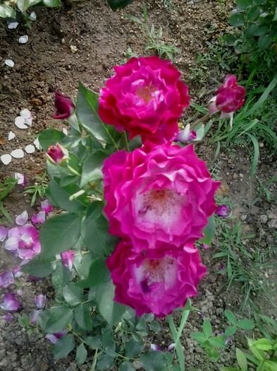 20160617_185338