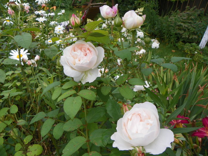 Winchester Cathedral