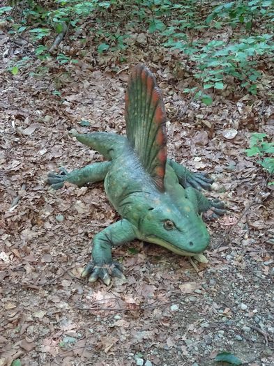 DSC09116 - Rasnov-DinoParc-Pestera Valea Cetatii