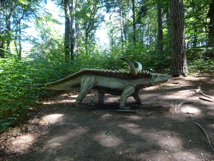 DSC09126 - Rasnov-DinoParc-Pestera Valea Cetatii