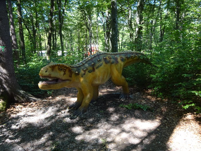 DSC09130 - Rasnov-DinoParc-Pestera Valea Cetatii