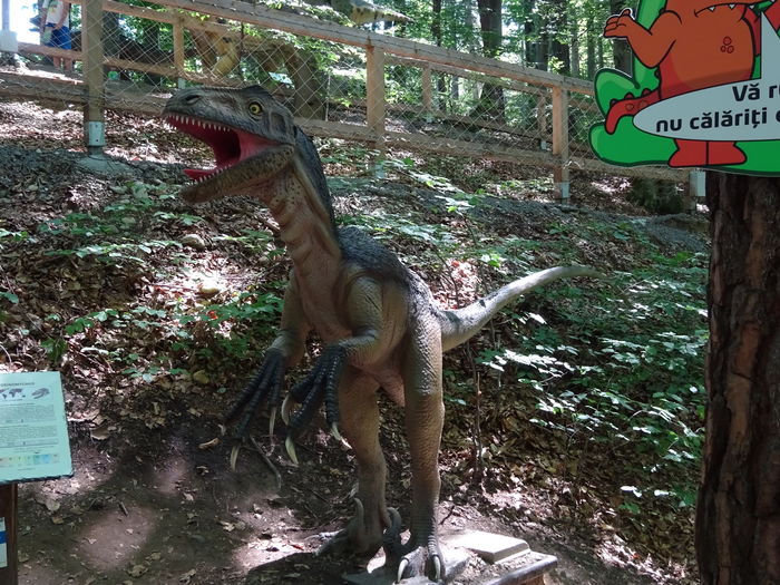 DSC09155 - Rasnov-DinoParc-Pestera Valea Cetatii