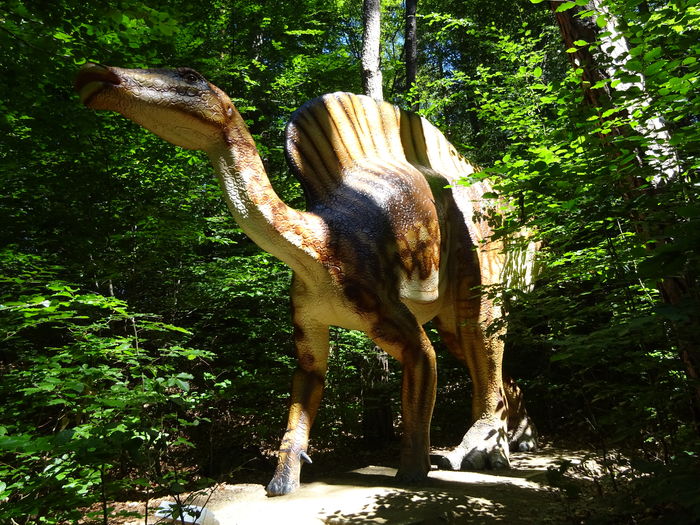 DSC09161 - Rasnov-DinoParc-Pestera Valea Cetatii