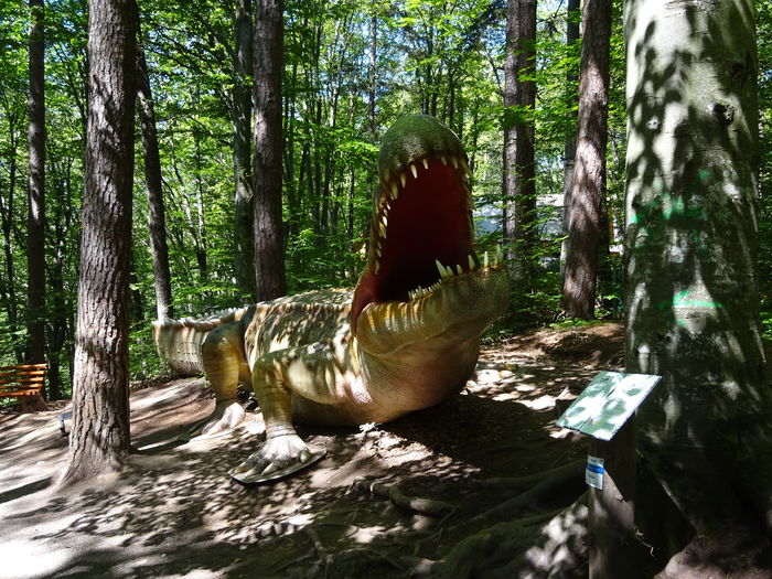 DSC09166 - Rasnov-DinoParc-Pestera Valea Cetatii