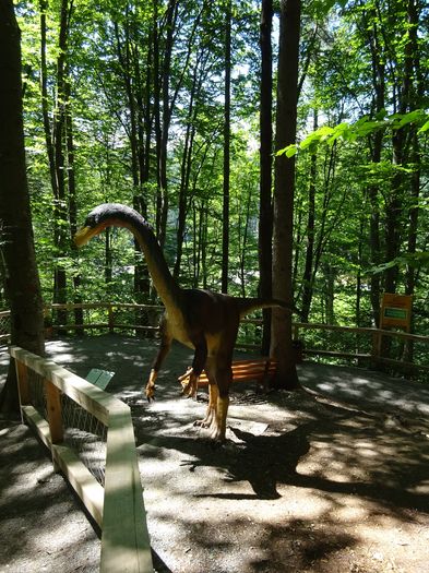 DSC09169 - Rasnov-DinoParc-Pestera Valea Cetatii