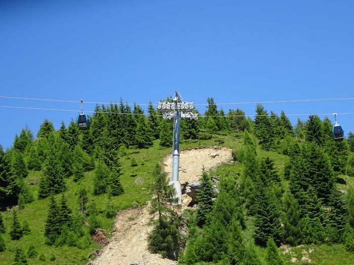 DSC09569 - Sinaia - Cota1400 - Cota2000