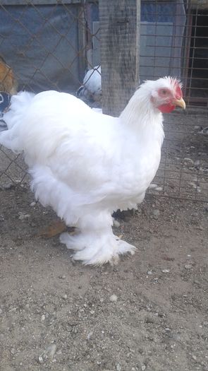 20160721_195628 - TINERET 2016