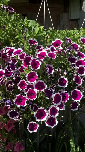 WP_20160722_09_07_17_Pro