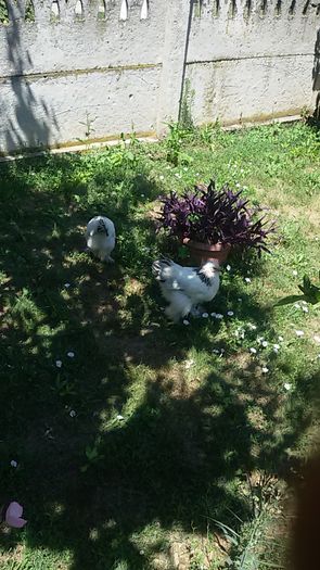 20160717_142947