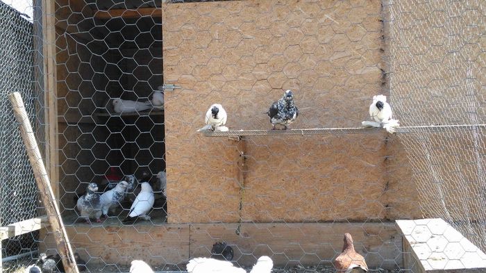 received_565658473606337