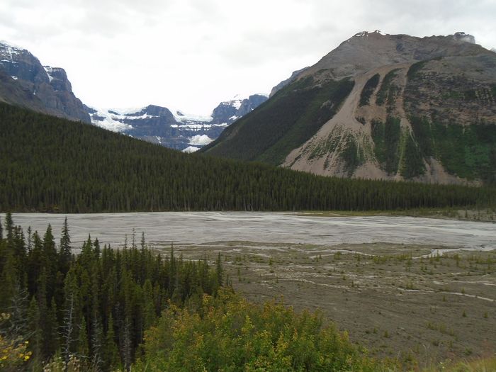 mm1_jasper_041_16072016