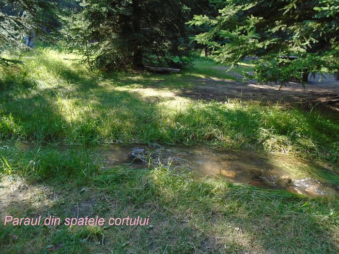 mm1_jasper_048_16072016