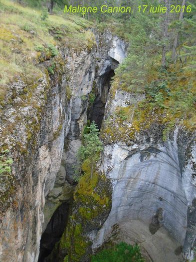 mm2_jasper_040_17072016_maligne_canion