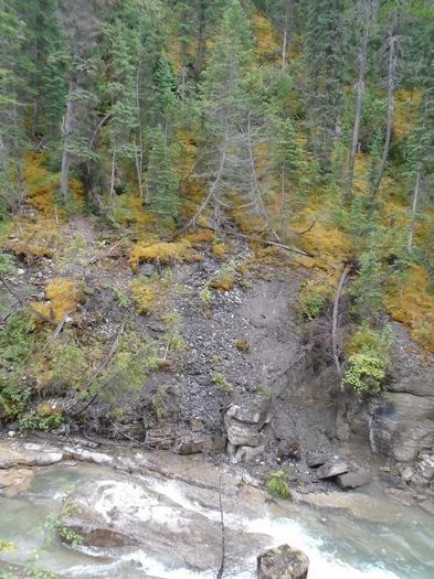 mm2_jasper_058_17072016_maligne_canion