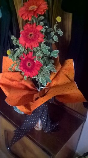 WP_20160718_14_38_27_Pro