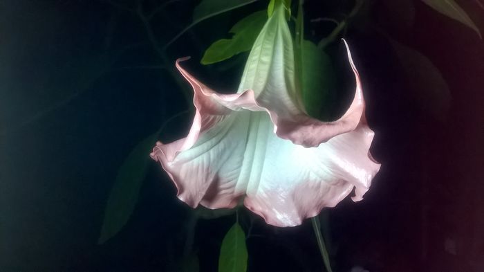 WP_20160718_22_48_06_Pro