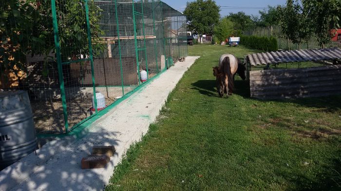  - PONEI
