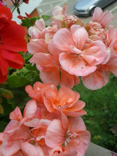 20160723_153001