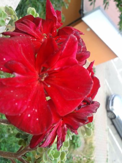 20160723_153034
