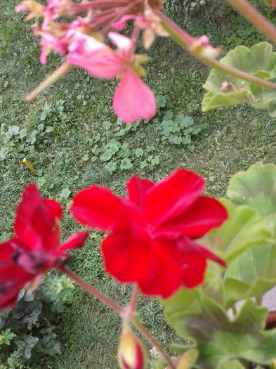 20160723_153049