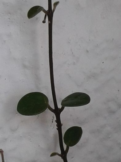 20160723_153220