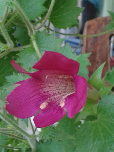 20160723_153248