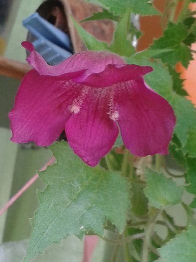 20160723_153254