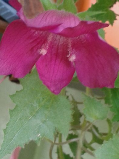 20160723_153258