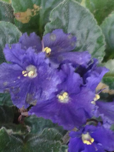 20160723_153308
