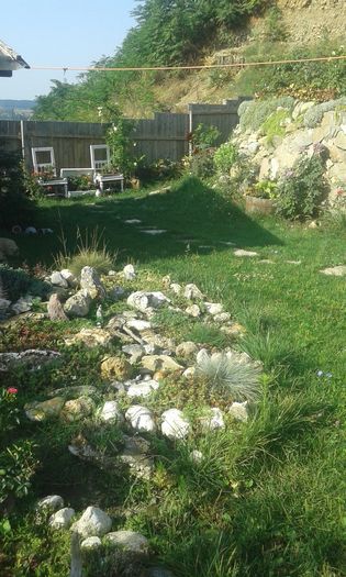 20160724_091013 - TRANDAFIRI 2016 III