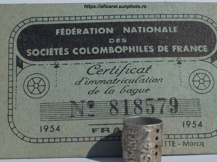 france 1954 - FRANTA