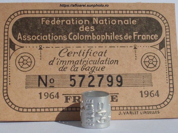 france 1964 - FRANTA