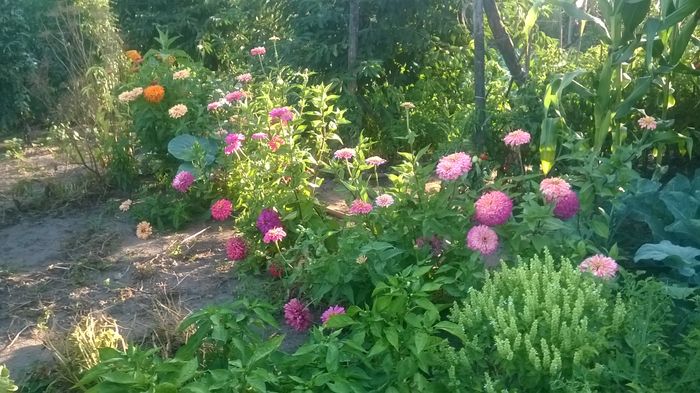 WP_20160723_019 - DIVERSE 2016