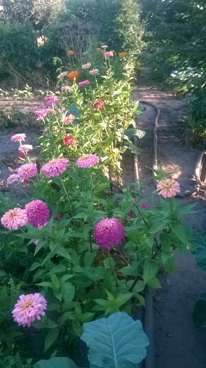 WP_20160723_020 - DIVERSE 2016