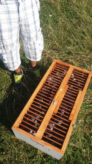 20160723_092626; Primul antrenament
