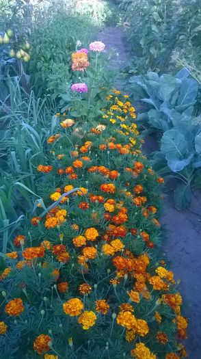 WP_20160723_038 - DIVERSE 2016