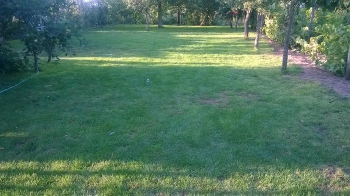 WP_20160723_064 - DIVERSE 2016