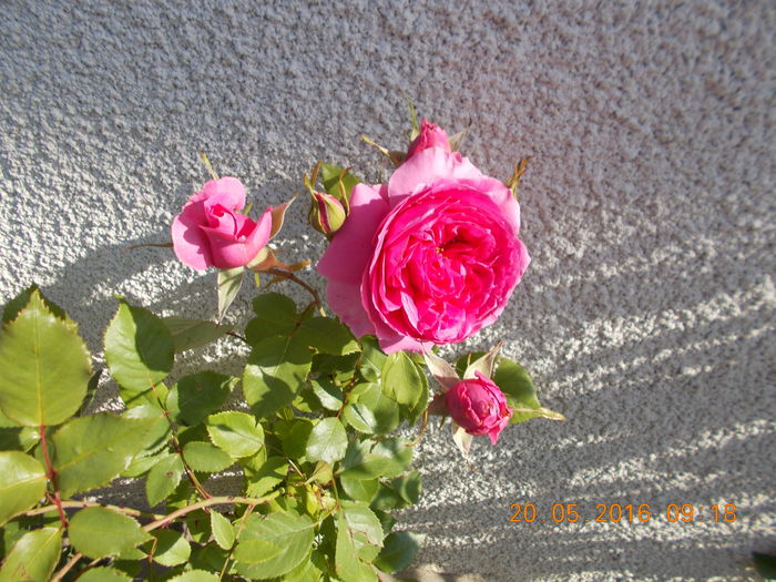 DSCN2256